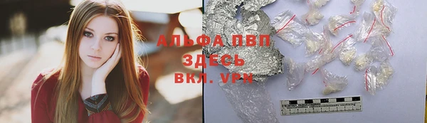 индика Нея