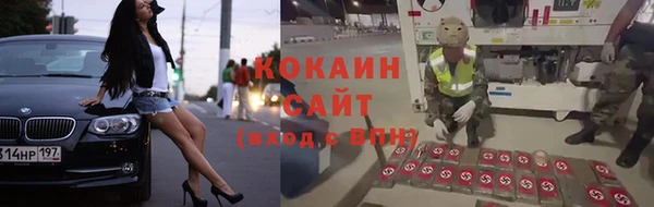 соль ск Новозыбков