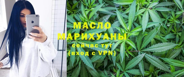 соль ск Новозыбков