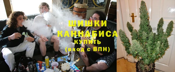 PSILOCYBIN Богданович
