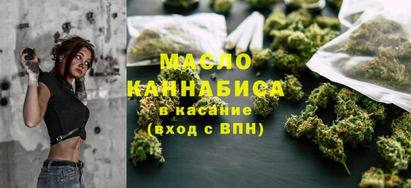 индика Нея