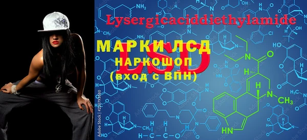 индика Нея