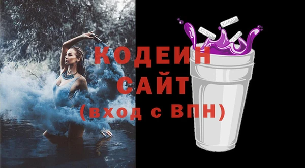 индика Нея
