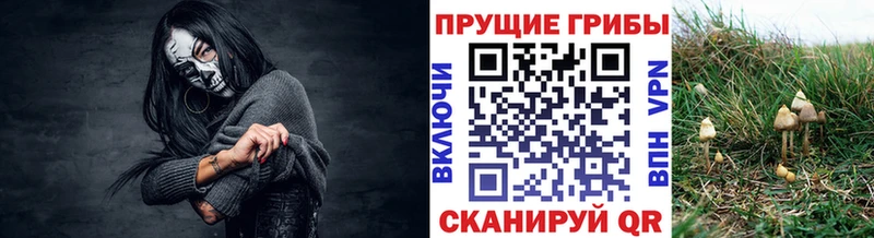 цена   Калачинск  KRAKEN зеркало  Псилоцибиновые грибы ЛСД 